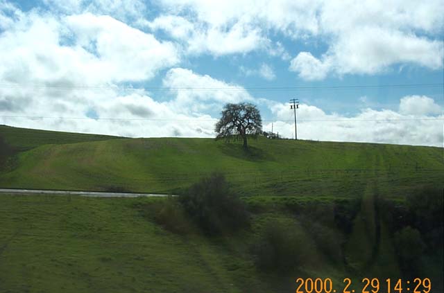 Green hills of Highway 101 6 miles northwest of Paso Robles, California